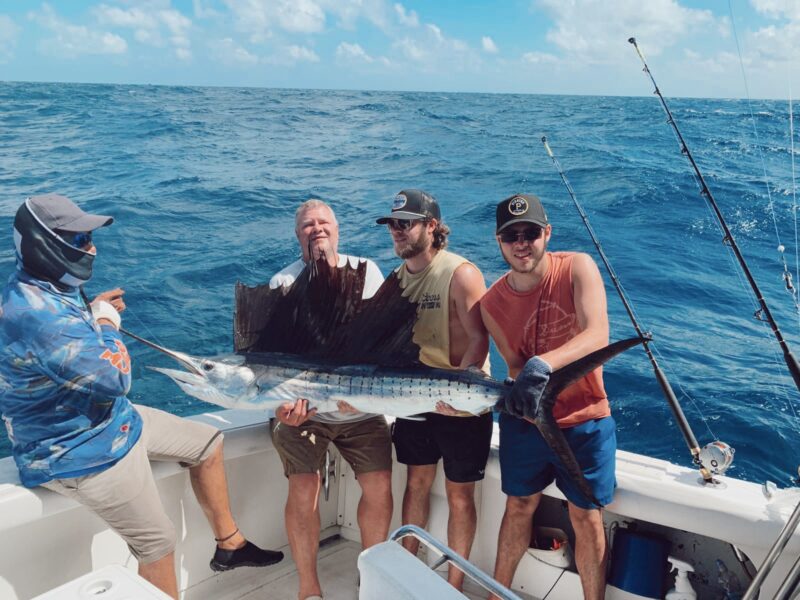 fishs sailfish big