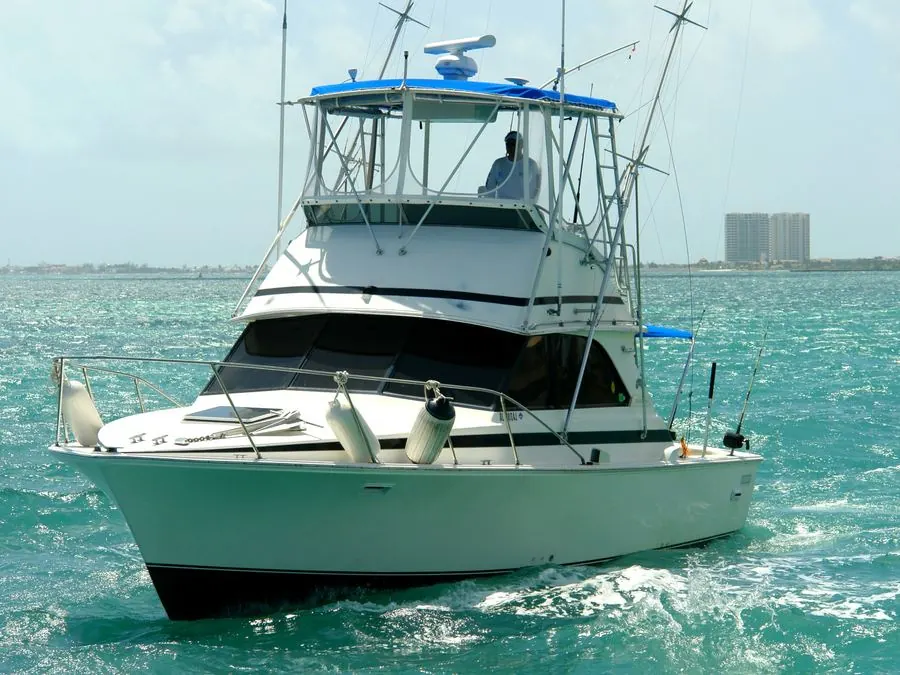 Fish’s 35 ft Bertram sportfishing boat at sea