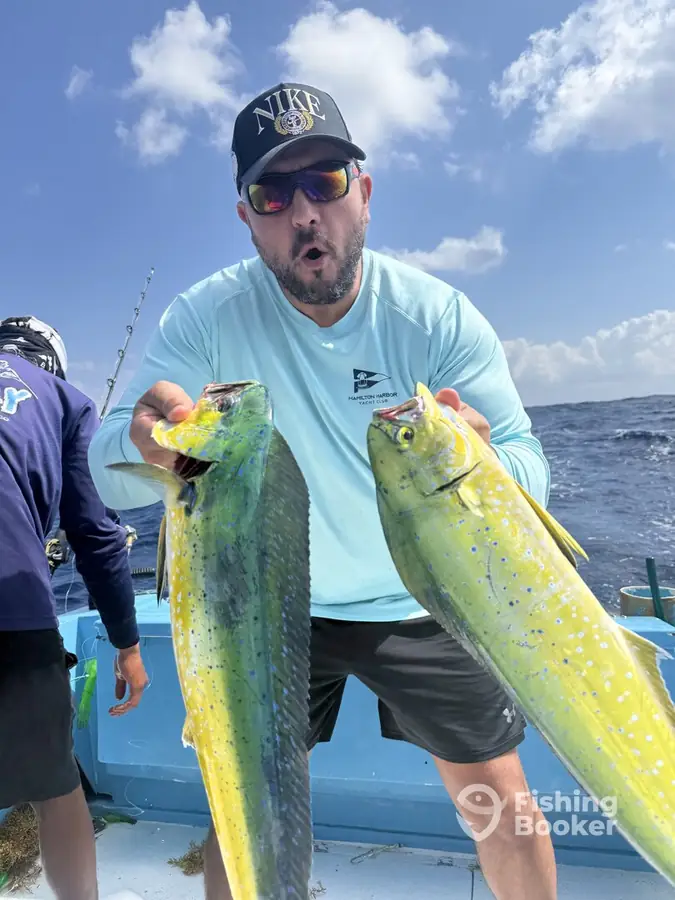 Guest holding two mahi mahi aboard Nuj Kay