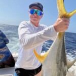amberjack fishing cancun