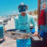 tuna fishing cancun