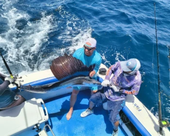 Sailfish catch on Fish’s fishing charter in Cancún